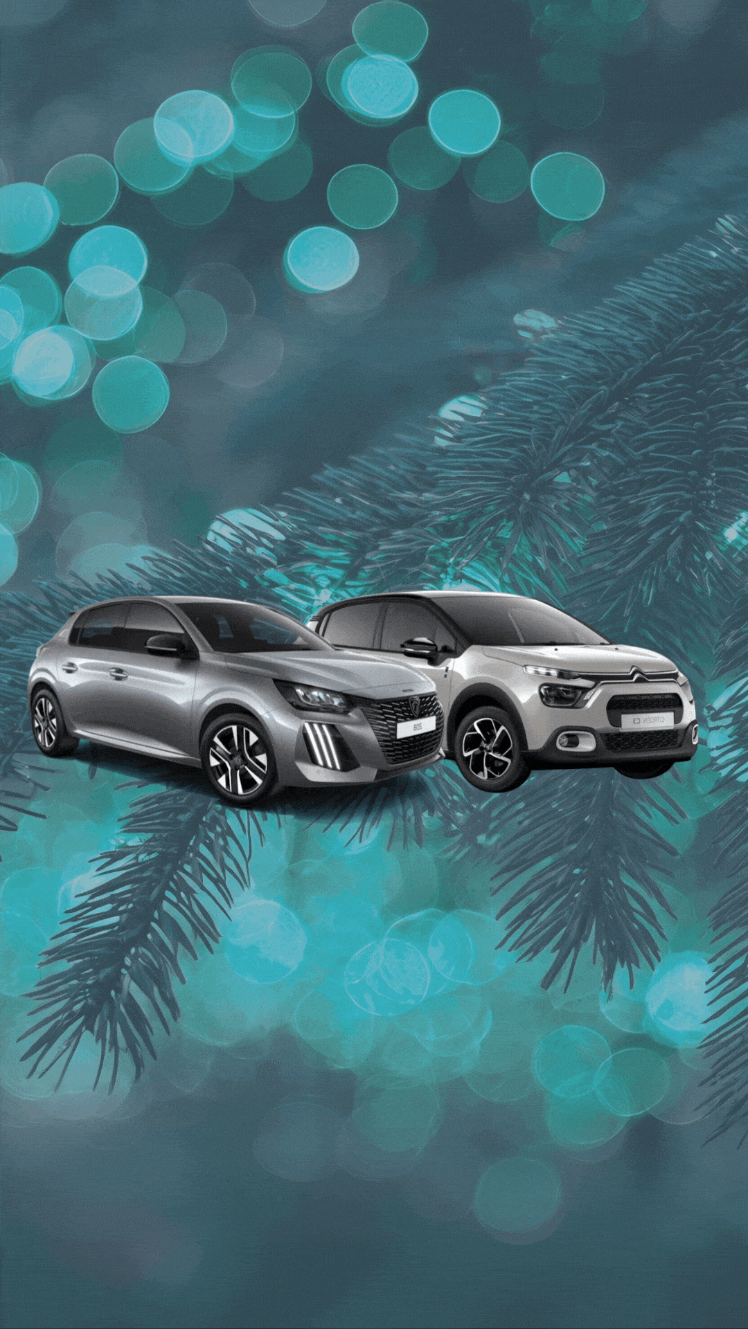 Visuels GRAND DESTOCKAGE 12-25 Citroën Valence-Leapmotor