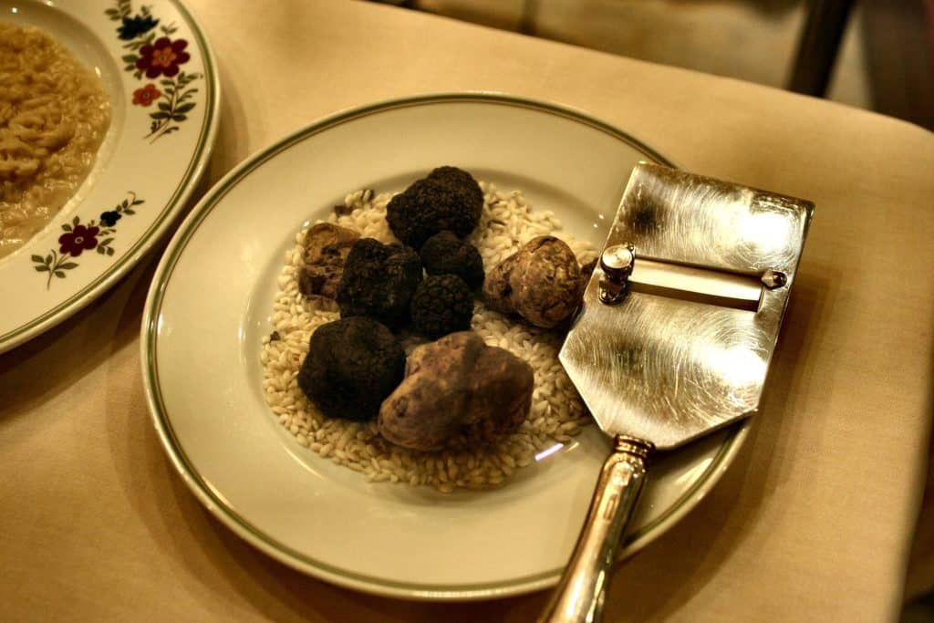 truffes noires de provence